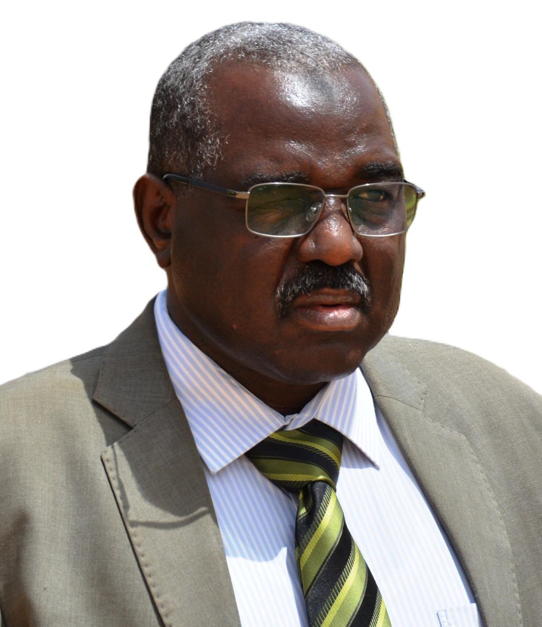 Professor.ALhadi Adam Mohammed Ibrahim