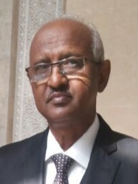 Dr.Elsir Elsheikh Ahmed Mukhtar